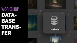 Understanding Database Transfer Wealth