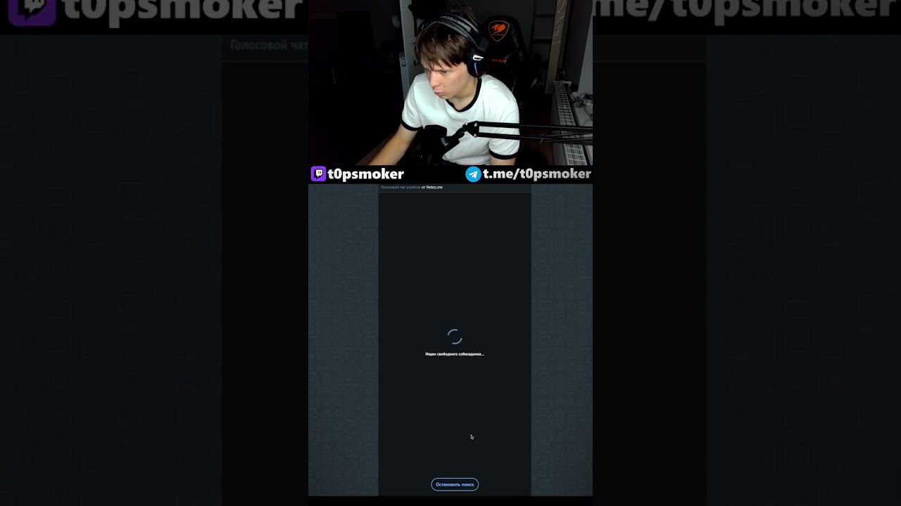 PDF в чат рулетке | twitch.tv/t0psmoker | 