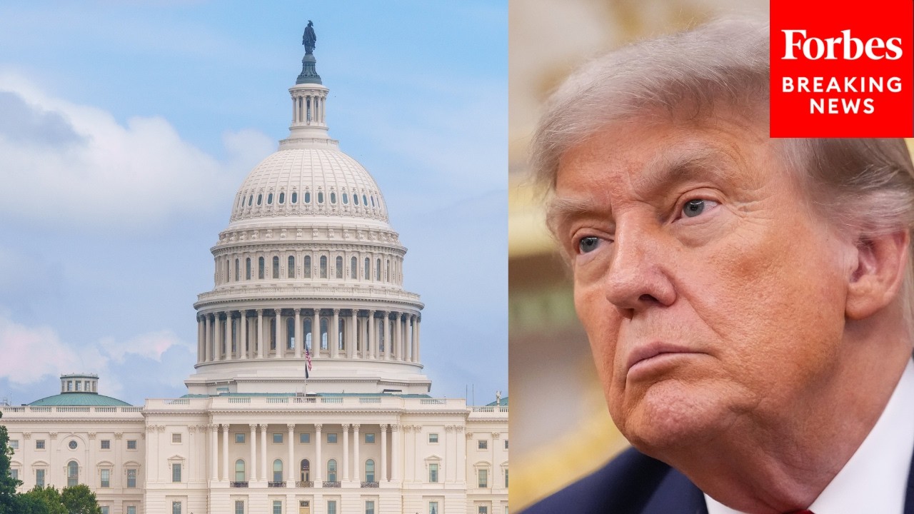 Lawyer Reacts To Trump's Birthright Citizenship Post, Says President Is Handing 'Blame' To Congress