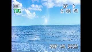 起飞 (黄的鲜花版) / トカトカ (Feat. 花墨锦)