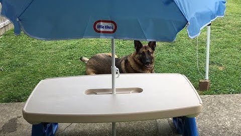 How to assemble the Little tikes Easy Store Picnic Table with Umbrella