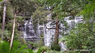 Spirit Safaris in Tasmania