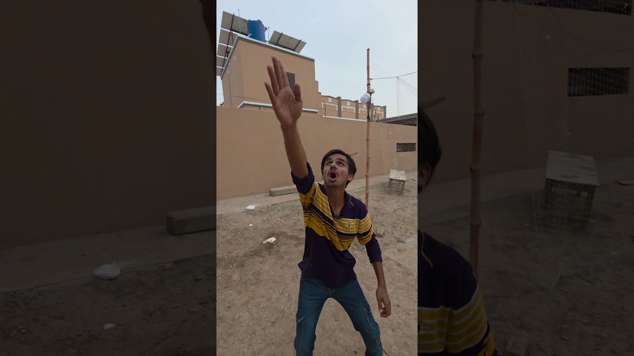 gorilla caught the pig and threw it into the drum