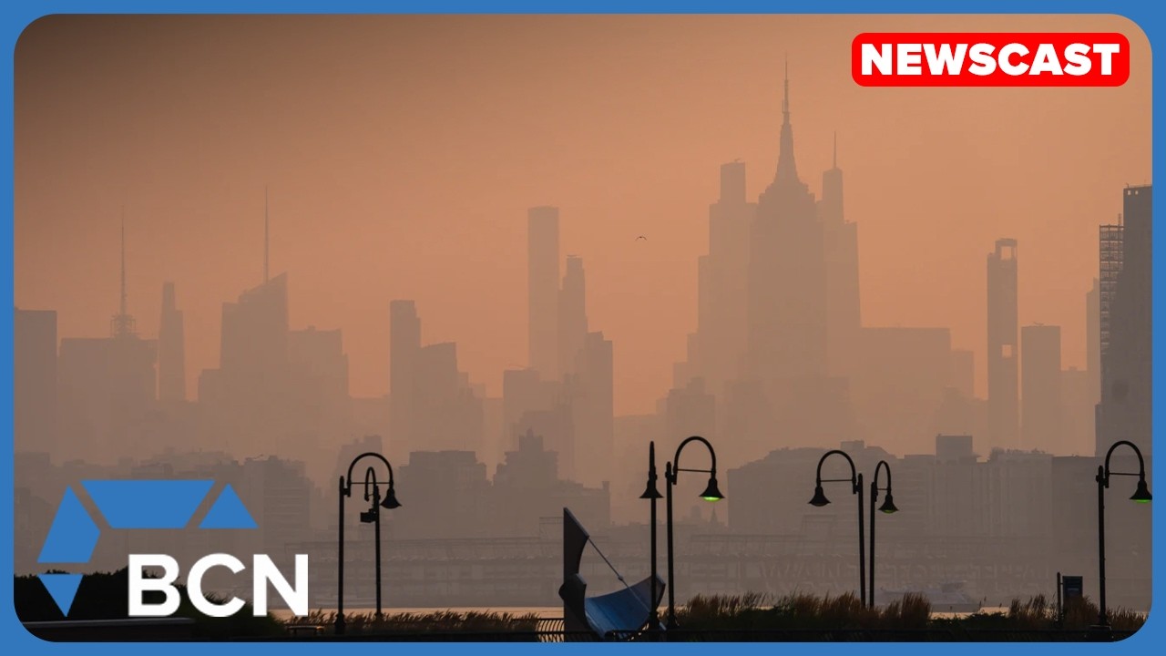Wildfire Smoke and Brain Health