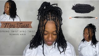 Mini Twist With Spring Afro Twist Hair Ft. EayonHair Protective Style/4C Hair