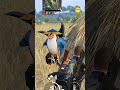 bgmi lover 😁 pubg ke comedy video achcha Laga to like Karen