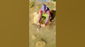 Cá Lớn - bắt Cá Rô Phi Khủng ẩn nấp 😱 #khacthuyvlogg