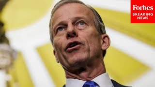 'An Old Hatred Has Made An Ugly Return': John Thune Decries Antisemitism On College Campuses