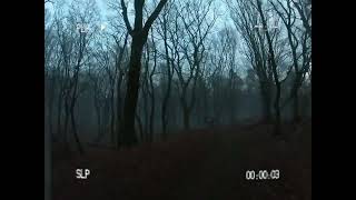 Ohio Woodlands Found Footage