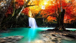 Sweet Memories ~ Kelvin Nugen ~ Soothing/Relaxing Piano Solo screenshot 5