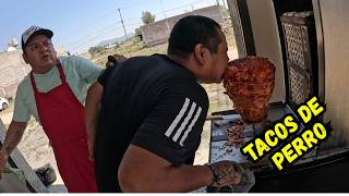 lleve un perro a una taquería (BROMA)