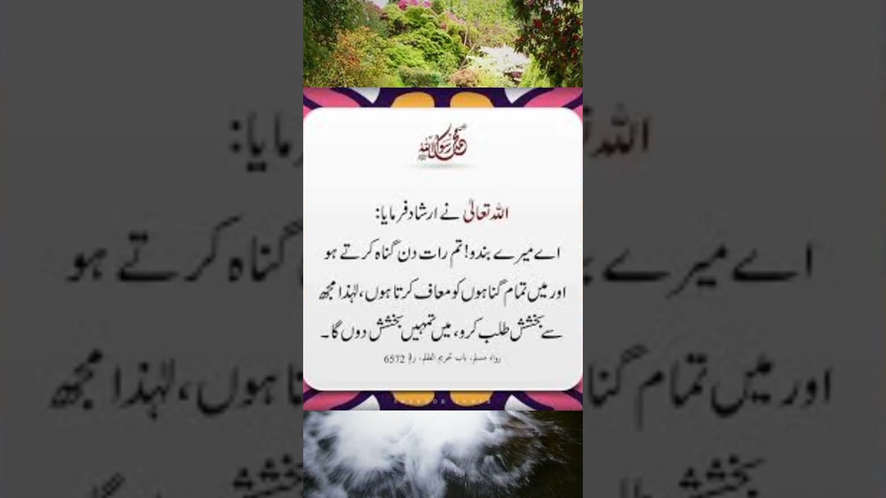 Islamic Quotes | Urdu Quotes | Shorts Video | Viral | Trending Shorts | Viral Shorts | Faizi Speech