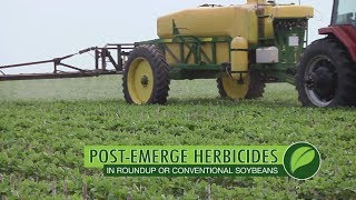 Soybean Post-Emerge Herbicides #1001 (Air Date 6-11-17)