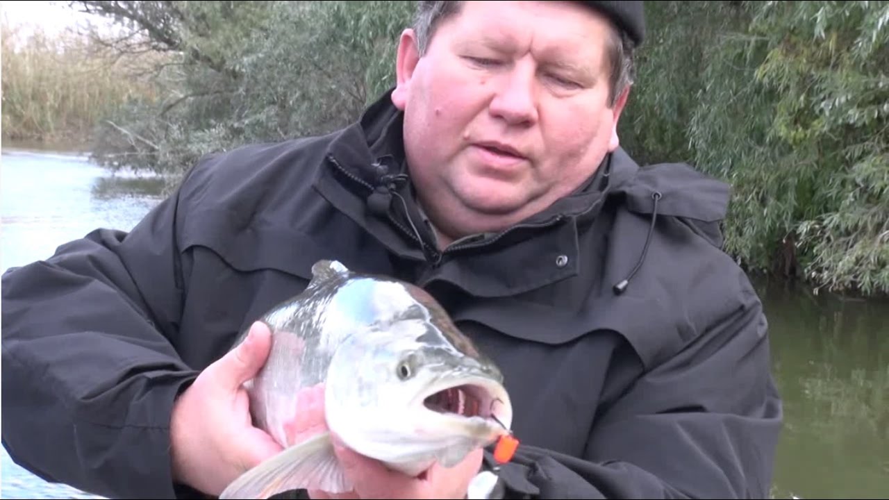 Дельта Волги, база Астория. Испытания новейших приманок Винторез от ХР ...