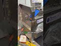 Vegetable Cutting Machine | Multi Vegetable Cutter | Commercial Vegetable Slicer
