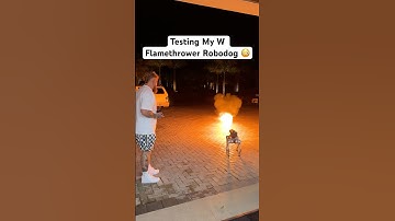 Testing My New W Flamethrower Robodog 😳