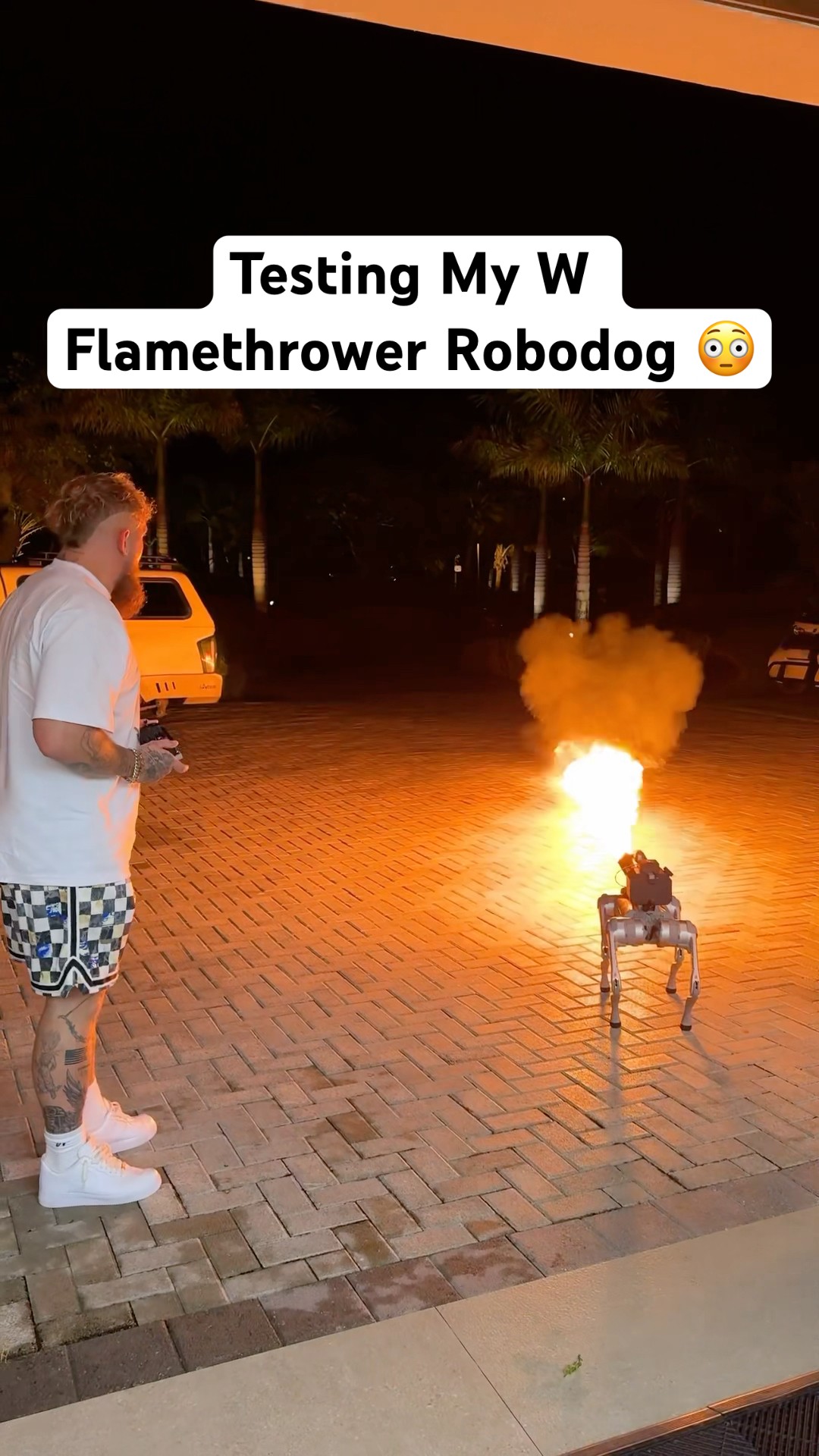 Testing My New W Flamethrower Robodog ?
