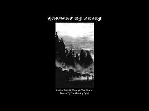 A Voice Prevails Through The Flames... Echoes Of Our Burning Spirit artwork