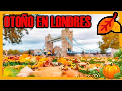 Video: Cosas que hacer en Londres en otoño