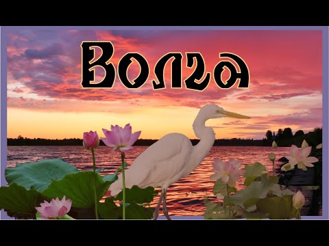 Великие реки России. Волга.