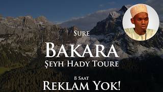 Reklamsız Kur'an Uyku için | Sure Bakara | 8 Saat | Şeyh Hady Toure