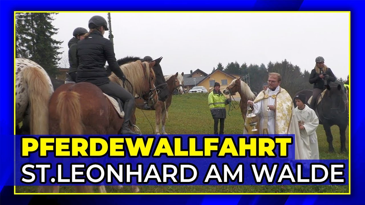 Pferdewallfahrt in St. Leonhard am Walde 🐴