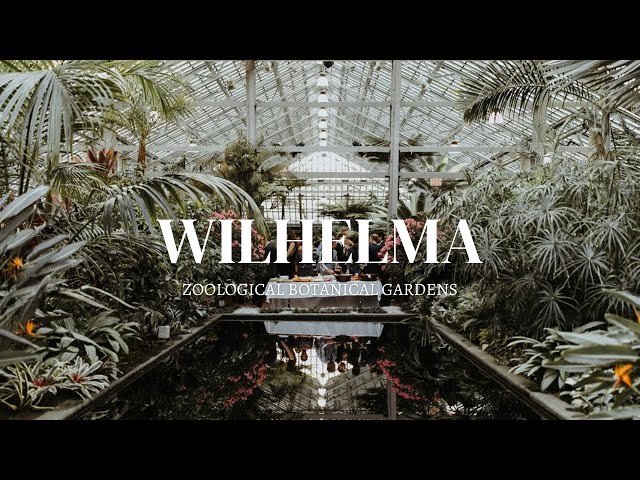EXPLORING GERMANY'S LARGEST BOTANICAL GARDENS & ZOOLOGICAL