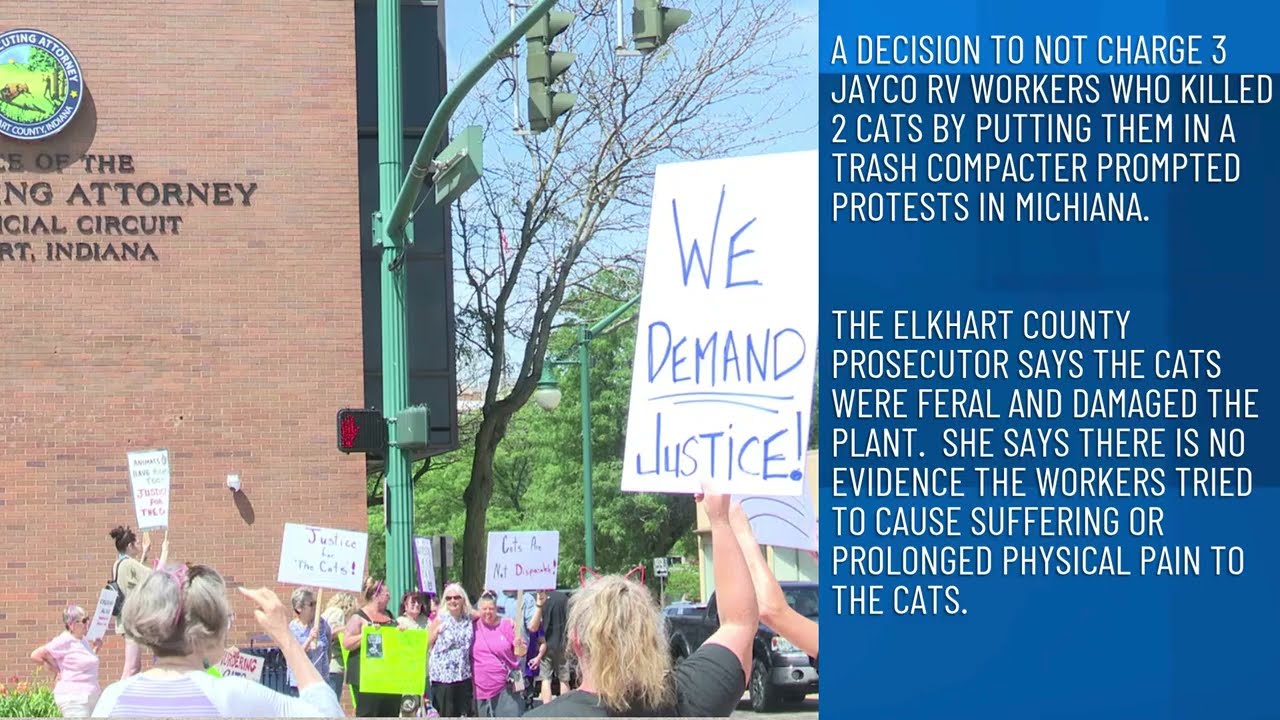 Elkhart County Humane Society critical of how alleged animal abuse case was handled