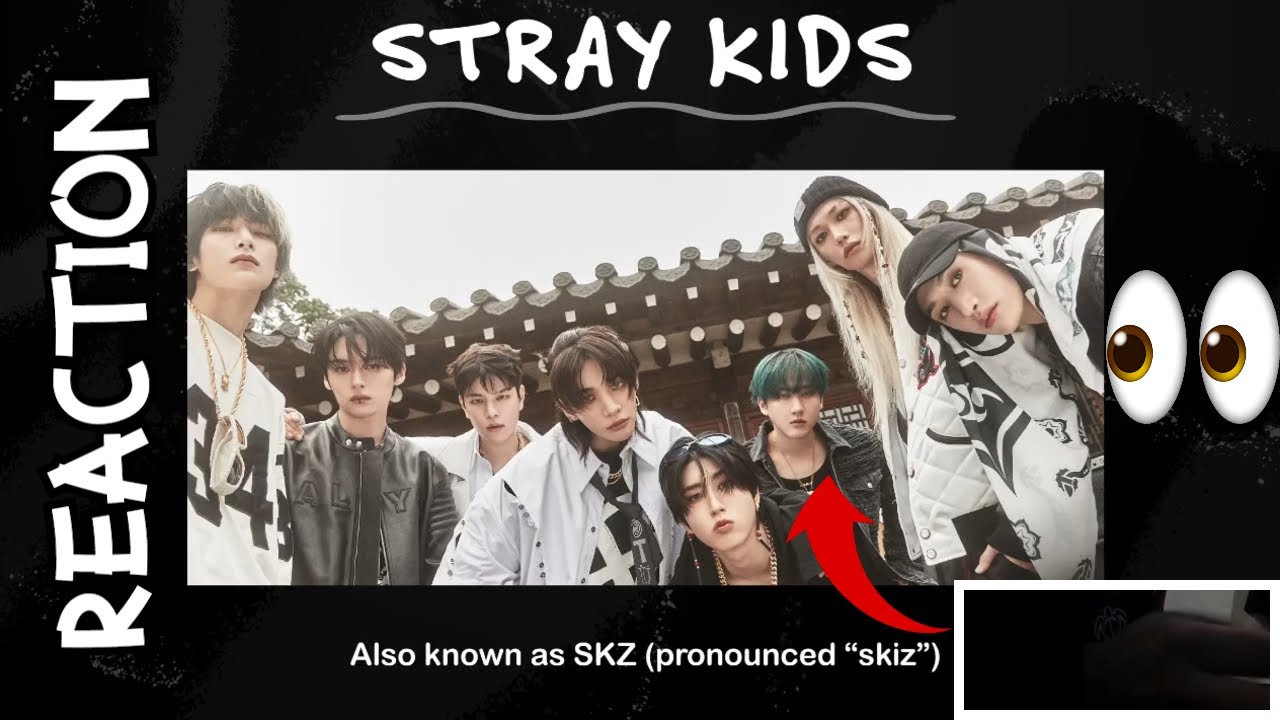 Baby Stay Reacts To Stray Kids - 2025 Stray Kids Guide! (By: Chandora's World)!!