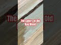 The colors from old trees sawmilled into new lumber #standardlivinghomestead