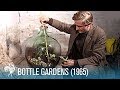 Jardins de bouteilles 1965  path britannique