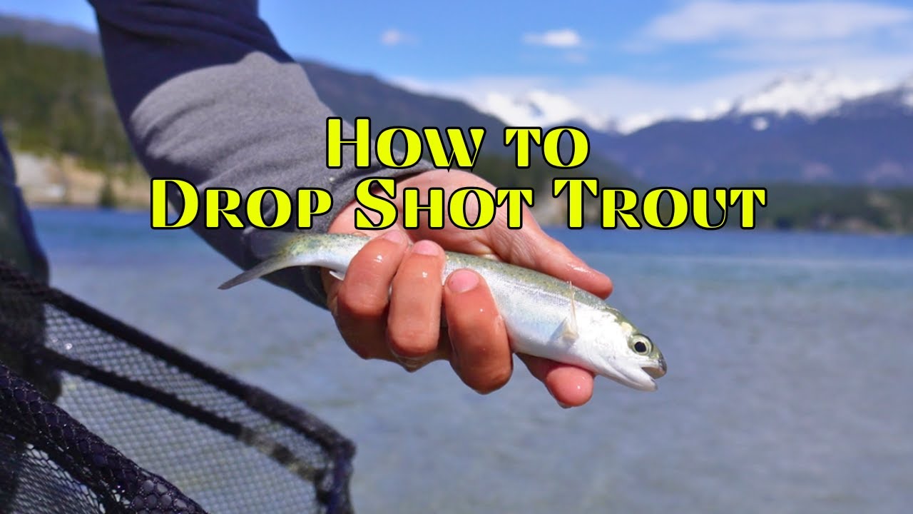 How To Catch Trout With A Drop Shot (Fast And Easy)