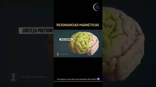 Los humanos podemos desarrollar la ecolocalización / video completo abajo.