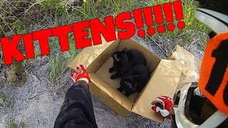 BIKERS FIND ABANDONED KITTENS