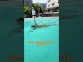 Acrylic swimming pools are more popular than concrete swimming pools. #swimmingpool #swimspa #pool