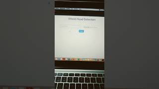 wheat head detection