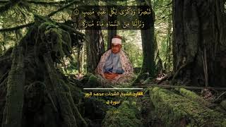 تَبْصِرَةً | القارئ الشيخ الشحات محمد انور | سورة ق ممنتج HD