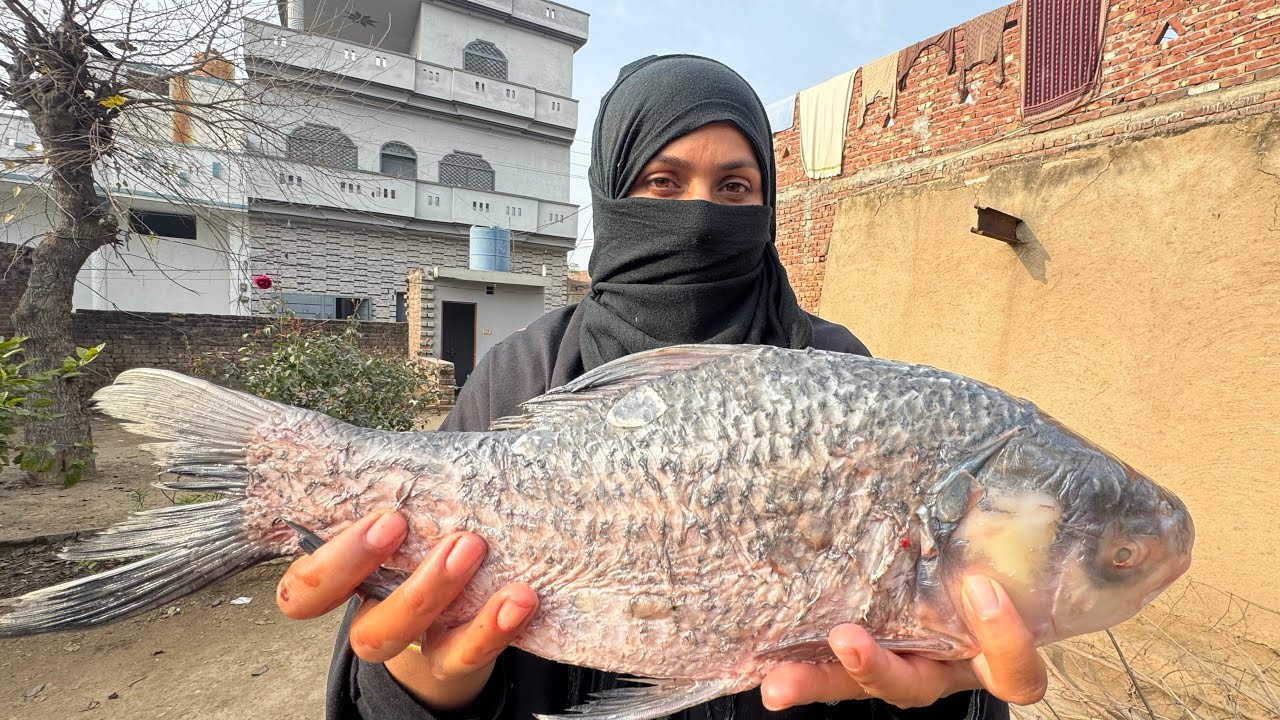 Спокойная деревня. Утро-полуденная зимняя рутина.