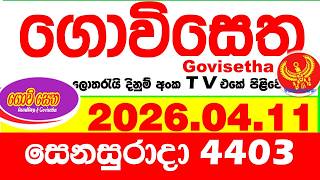 Govisetha 4403 2026.04.11 Today Nlb Lottery Result අද ගවසත දනම පරතඵල Lotherai Dinum Anka