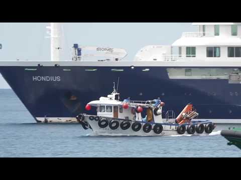 クルーズ船で下船開始、乗客帰国へ WHOは42日間の隔離推奨 - YouTube
