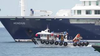 クルーズ船で下船開始、乗客帰国へ WHOは42日間の隔離推奨 - YouTube