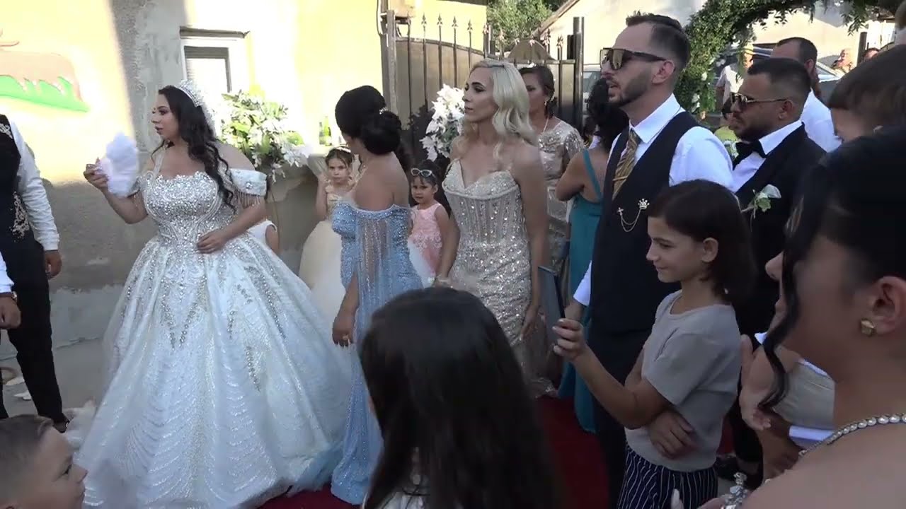 Lele si formatia Vasile Pandelescu 2025 nunta Dae & Damiana 3