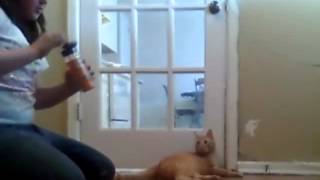 Capture 20120327 3