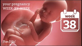 38 Weeks Pregnant - Natural Pregnancy Week-By-Week