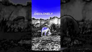diedlonely  Fading