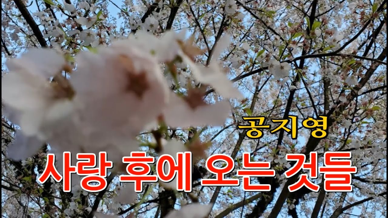 사랑 후에 오는 것들/공지영 지음/반딧불이