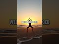 The Impact of Routine on Mental Clarity