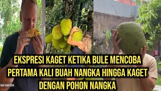 THIS IS THE EXPRESSION OF ASTONISHMENT OF FOREIGNERS WHEN THEY TRIED AND SEEED THE JACKFRUIT TREE