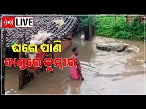 LIVE | Odisha Flood News Today | Hirakud Dam | Mahanadi River | Water logging | Odia News thumbnail