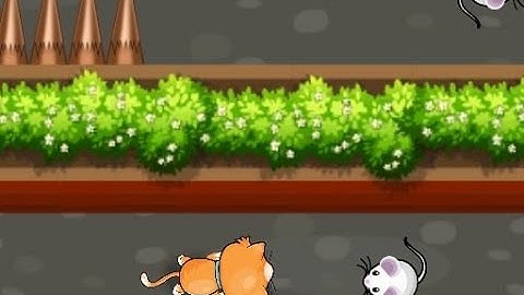 Cat Trap Labyrinth Escape - Game Video - Ans32 Game